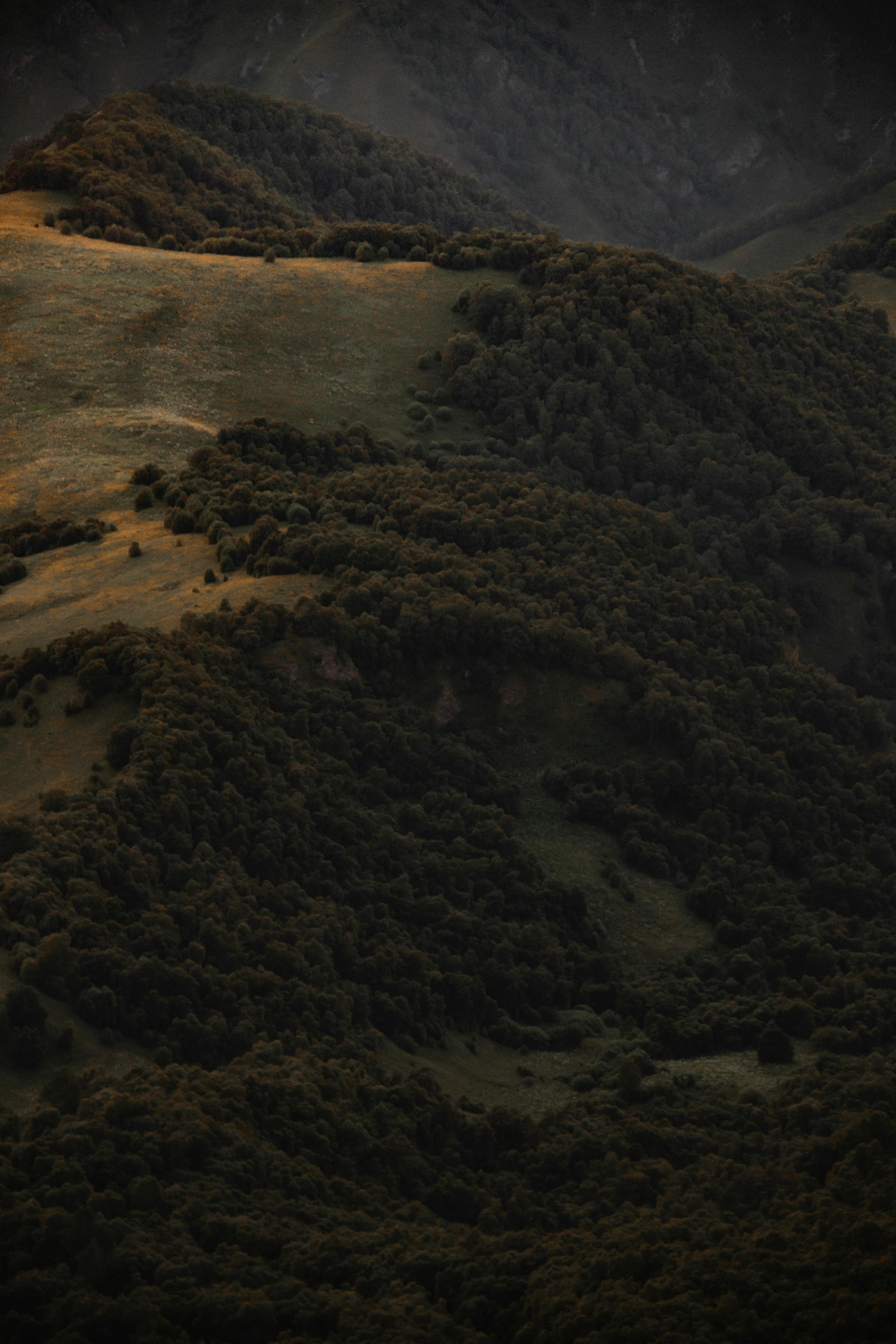 A breathtaking aerial view of a lush and serene dark green forest landscape captured at dusk.