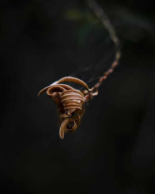 Foto profissional grátis de @exterior, beleza na natureza, minimalismo