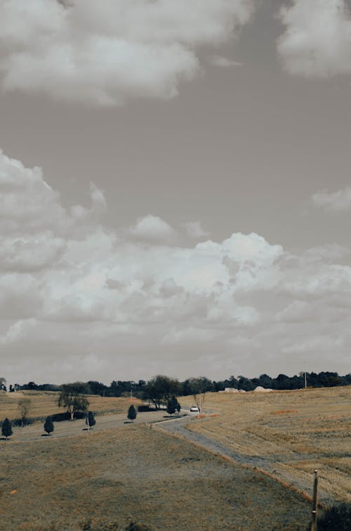 Free stock photo of america, countryside