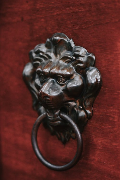 Brass Lion's Head Door Knocker