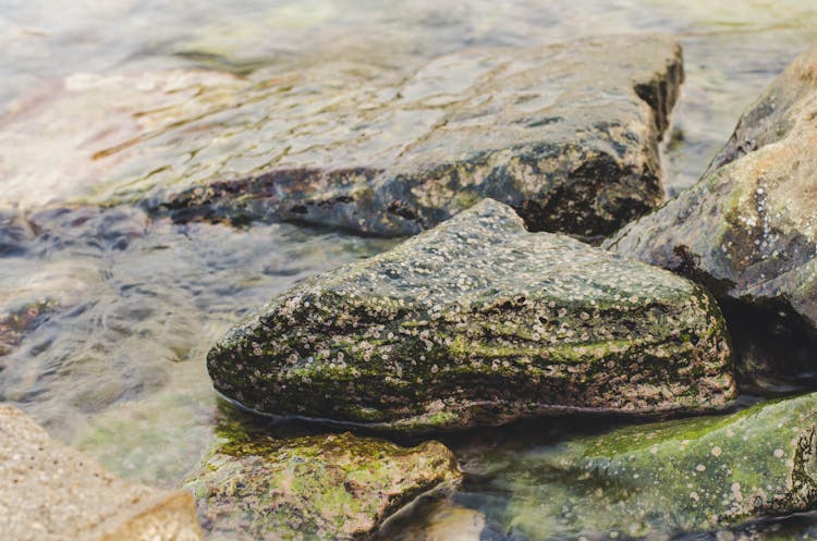 Rocks In Water Outdoors