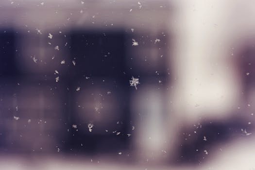 Close-up of falling snowflakes captured during winter in Moncton, NB with a blurred background.