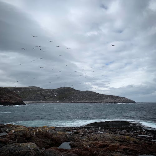 多雲的, 天空, 島 的 免费素材图片