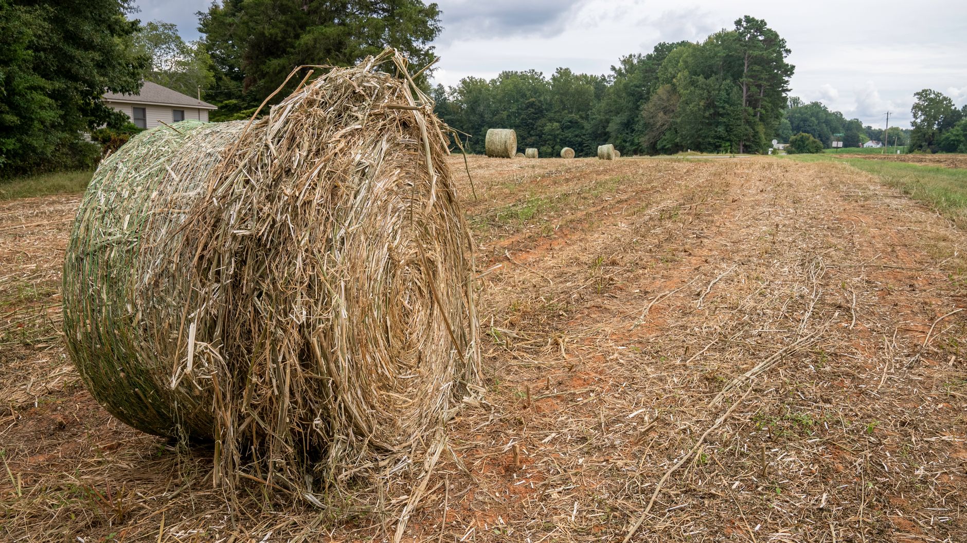Hay bale in a North Carolina field depicting rural agriculture.