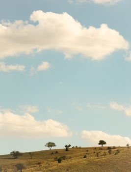 Idyllic rural landscape with a clear blue sky and scattered clouds on a sunny day.