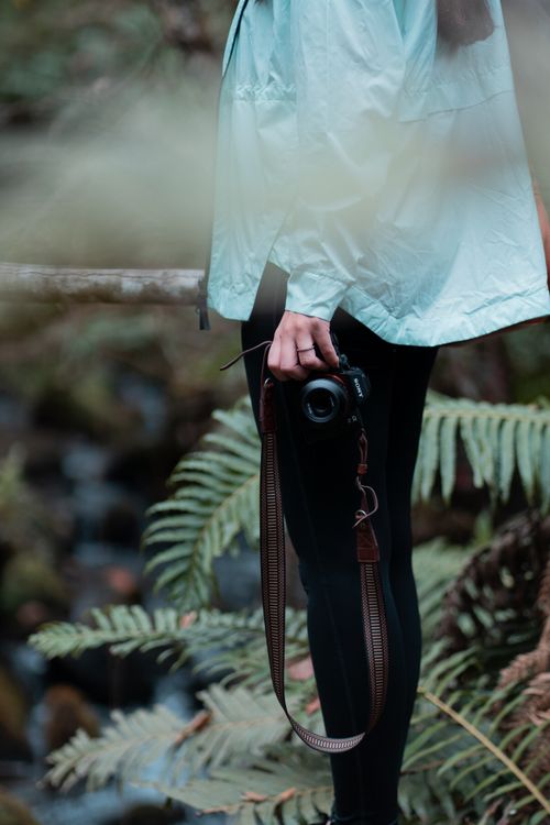 Free Person holding a camera amidst lush ferns in a forest setting, symbolizing exploration. Stock Photo