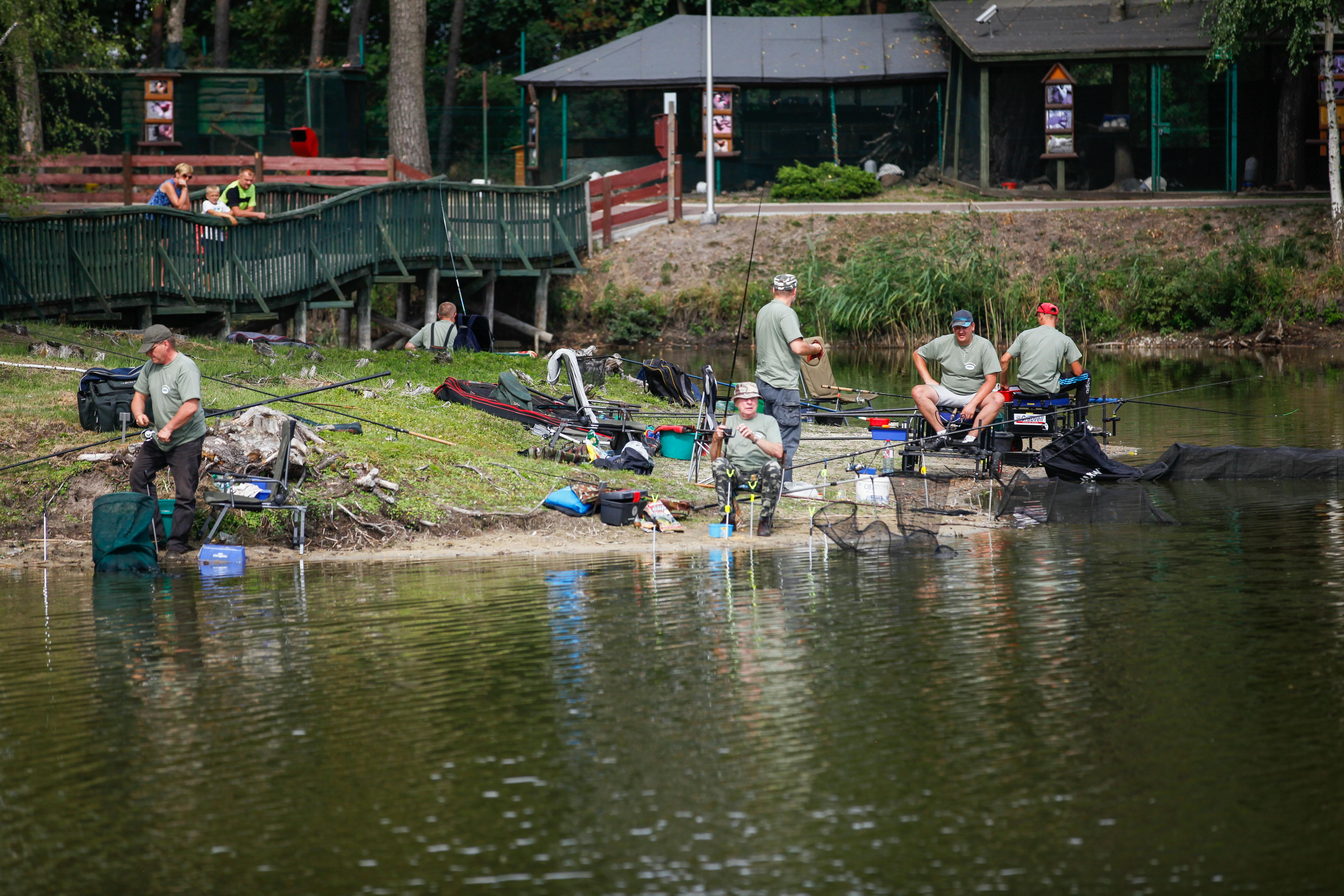 Free stock photo of angler, anglers, competition