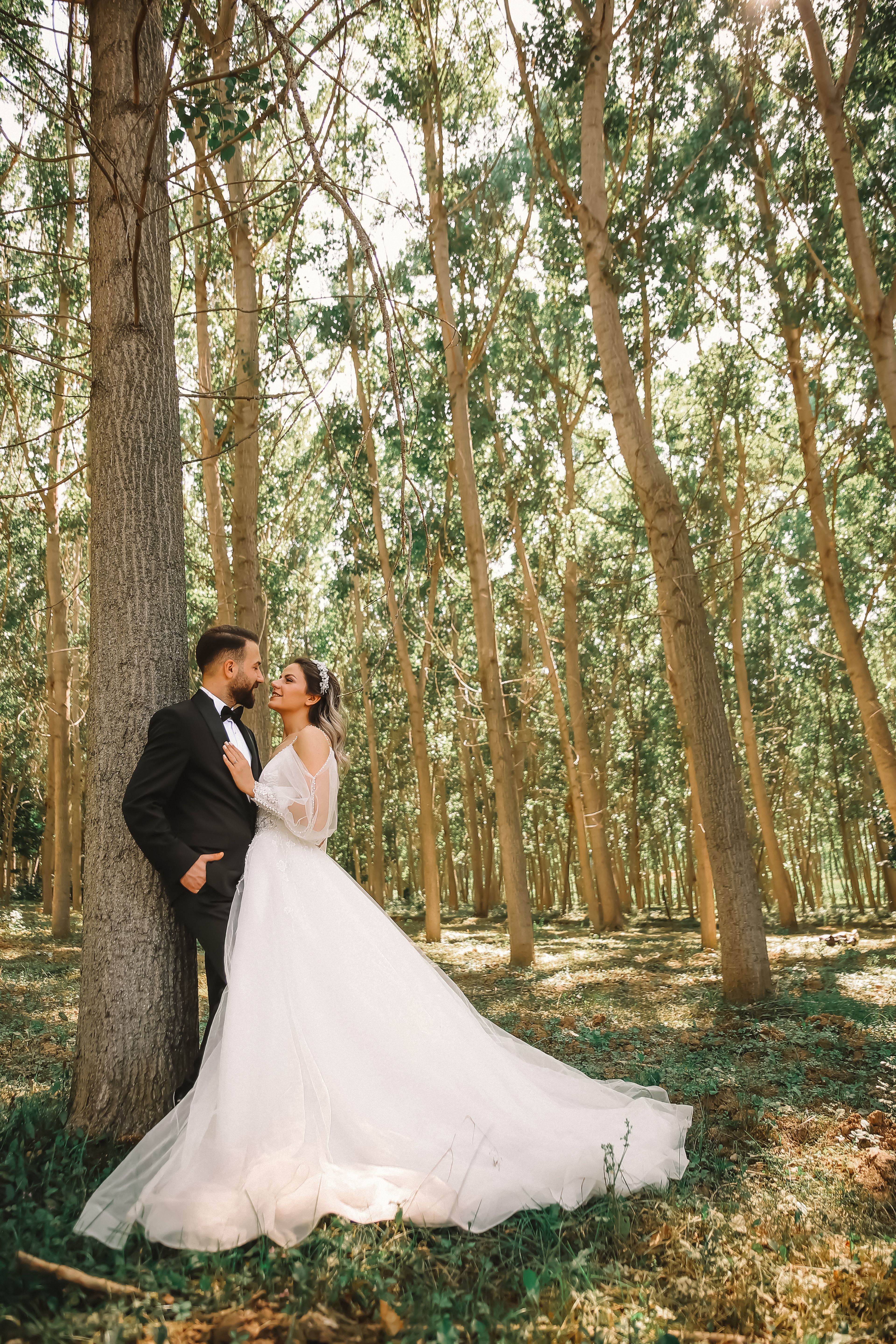 Bride in Wedding Dress Posing near Old Tree in Forest · Free Stock Photo