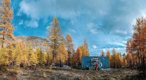 Cargo Container in the Forest