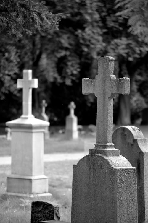 Free Foto d'estoc gratuïta de blanc i negre, cementiri, creus Stock Photo