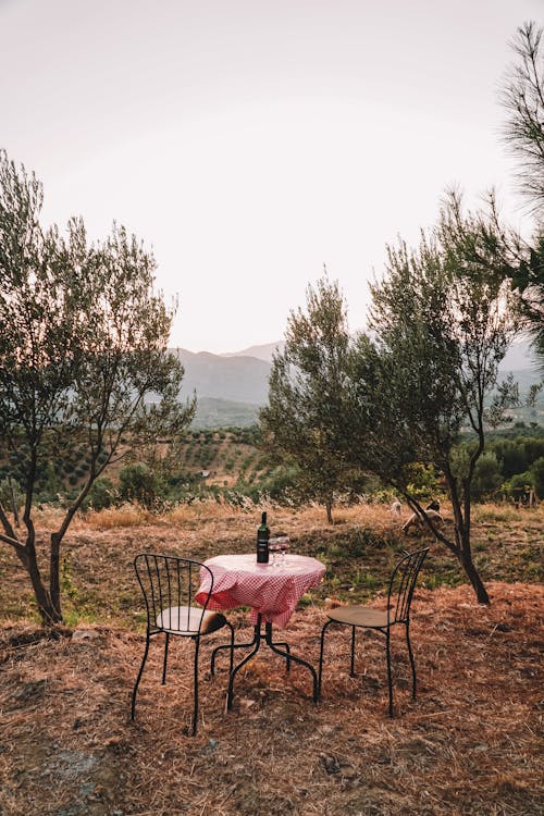 Table Setting on the Grass Field