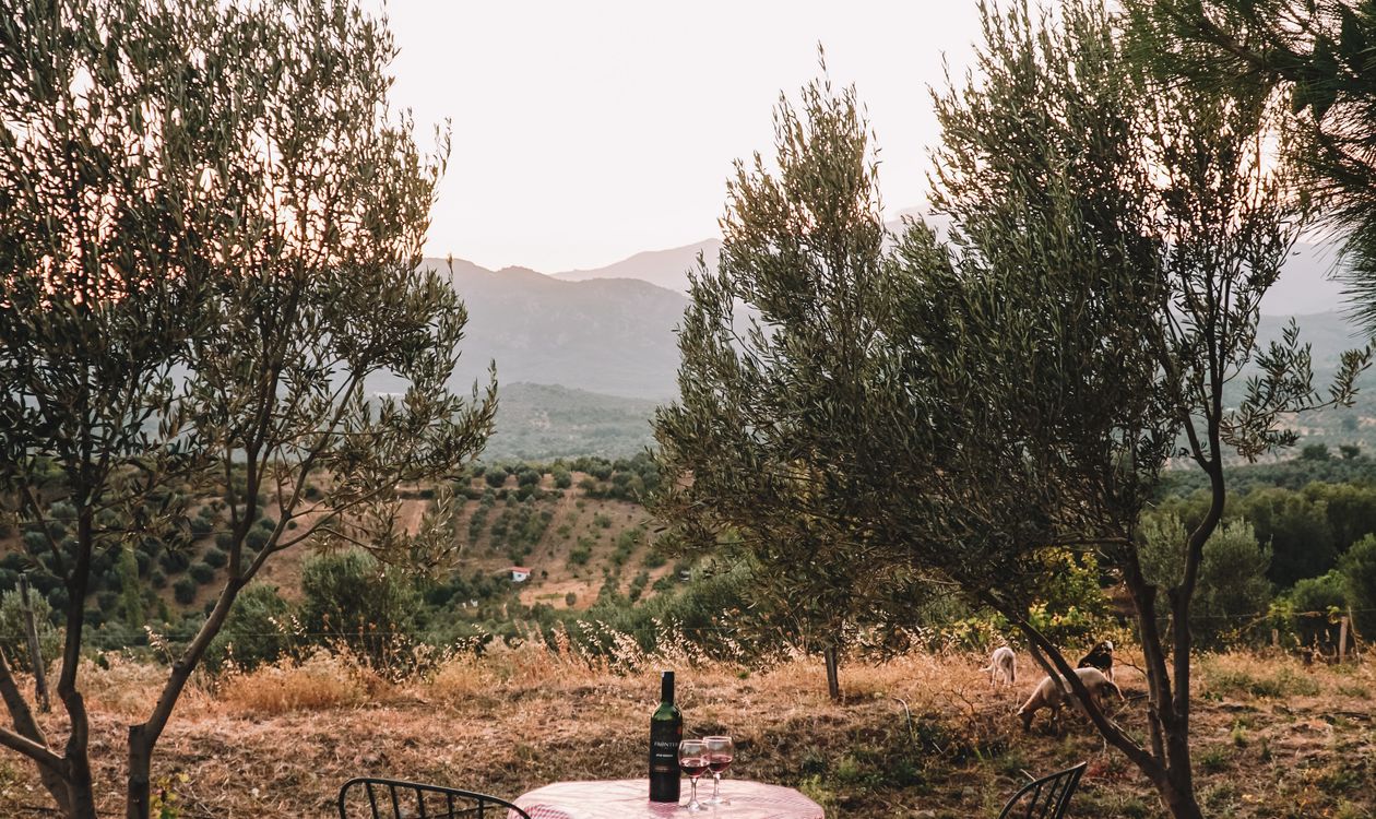 Beer, Olive Oil and Balloons at Dawn: Ibiza Events This Week (16–23 September 2026)