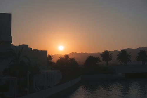 Gratis arkivbilde med gylden time, palmetrær, solnedgang