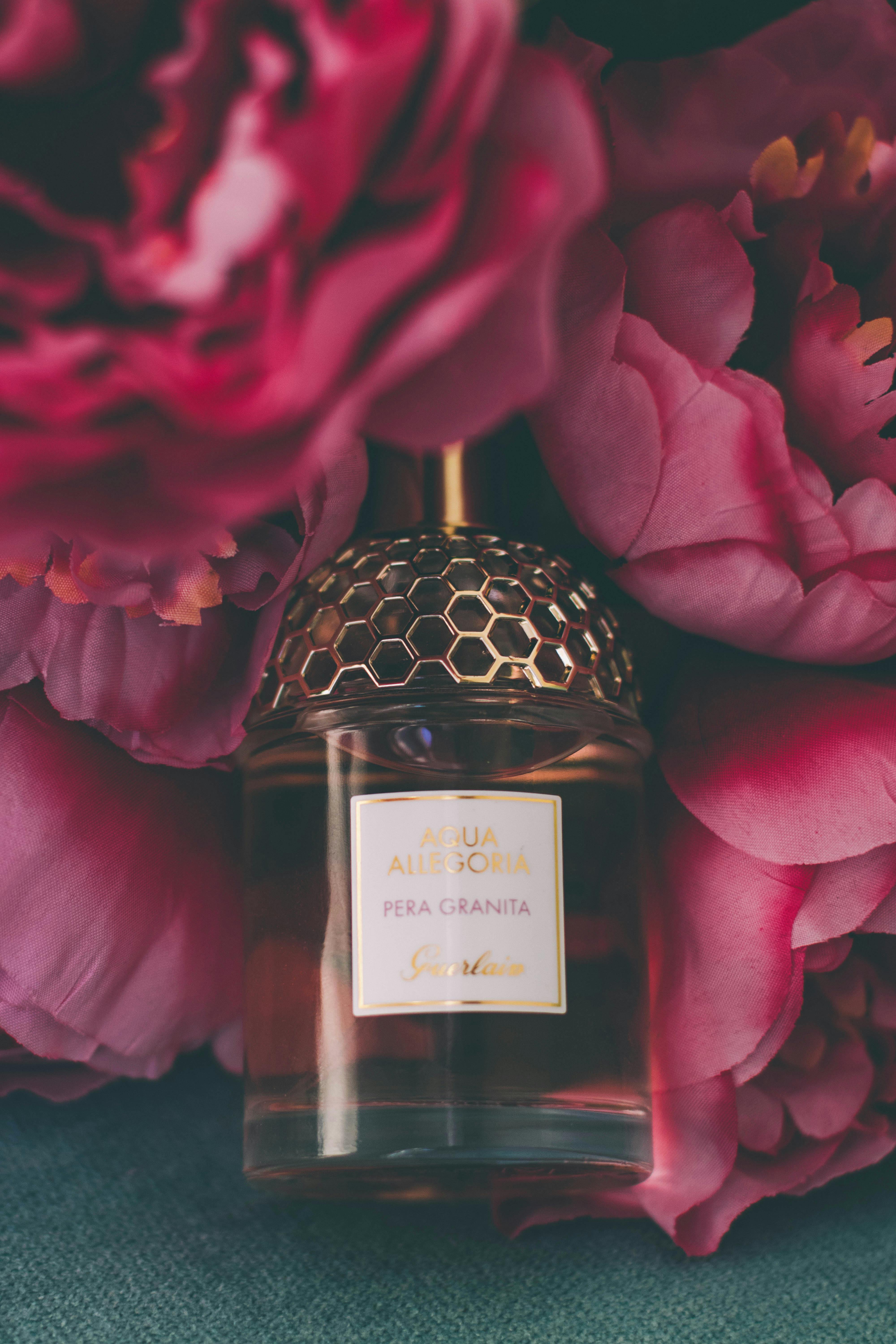 Perfume Bottle Surrounded by Flowers \u00b7 Free Stock Photo