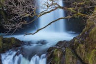 从长满青苔的岩石和树木中，迷人的瀑布在长时间曝光下倾泻而下