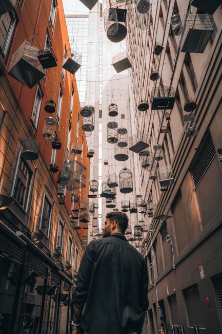Caucasian man in city alleyway in Sydney with hanging birdcages above.