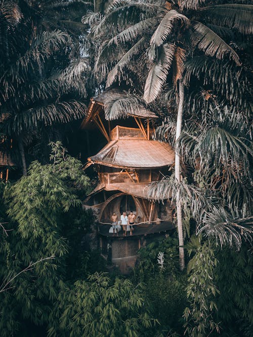 Cottage among trees in forest