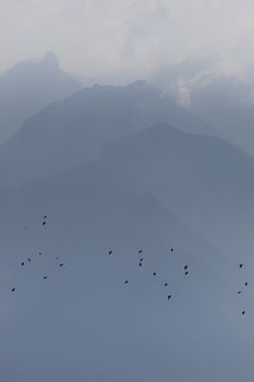 Serene view of birds flying over misty mountain peaks in Lauterbrunnen, Switzerland.