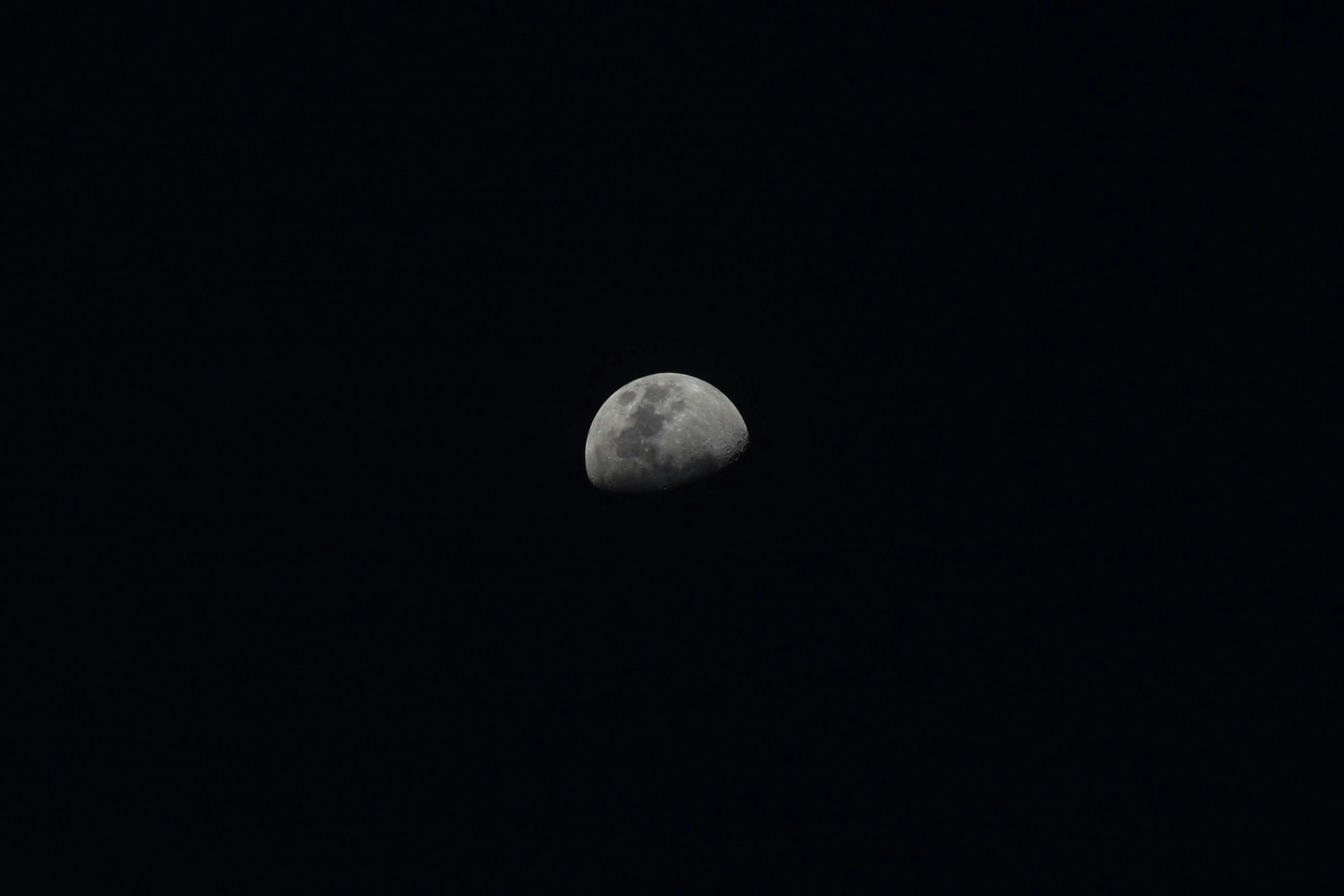 Free stock photo of half moon, moon