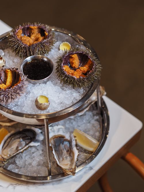 Free Close-up of a seafood platter featuring fresh oysters and sea urchin, artfully presented on ice. Stock Photo
