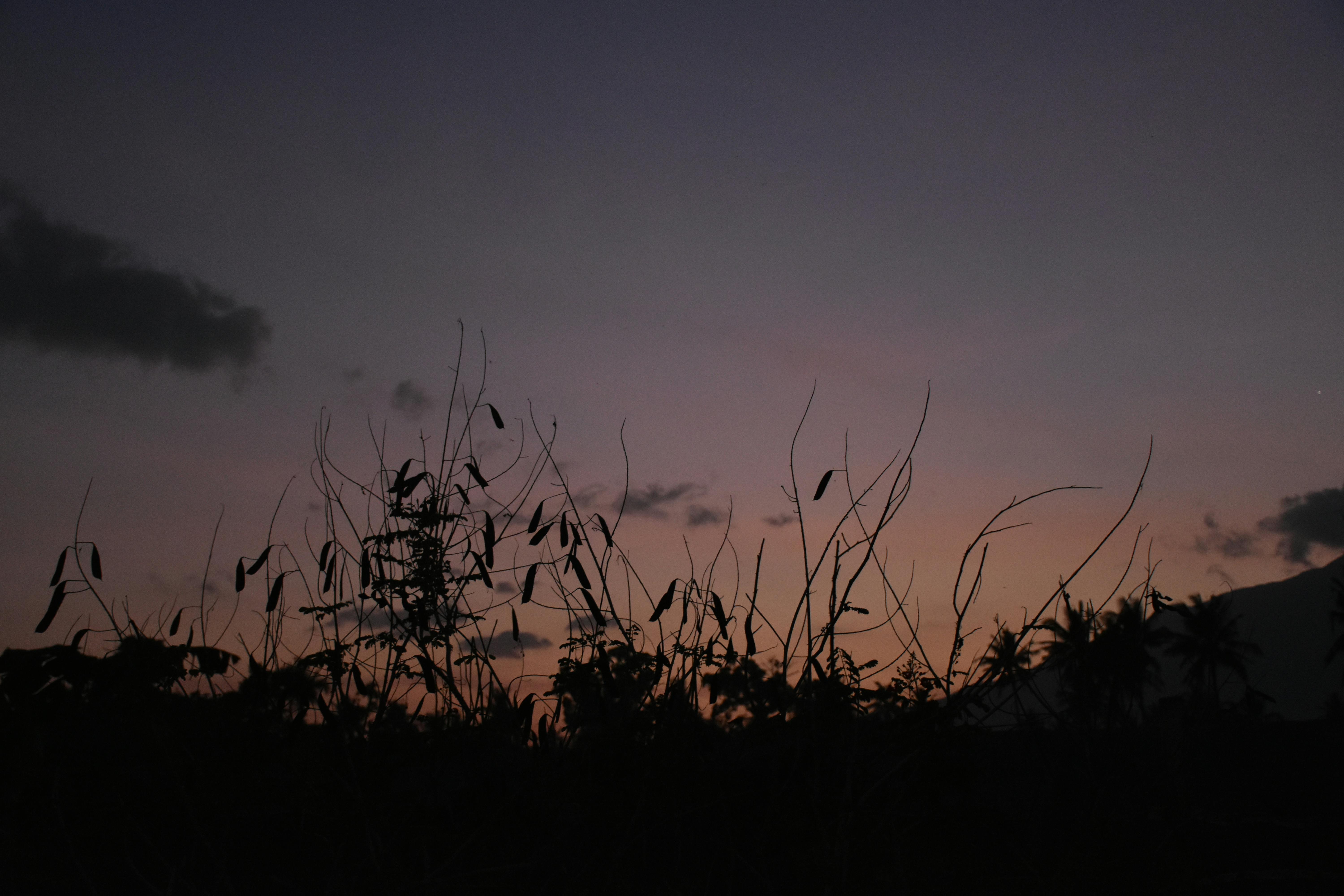 Woman arched back in pleasure on bed artistic nude