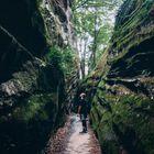 A narrow moss-covered canyon path — photo by Alexander Savchuk on Pexels