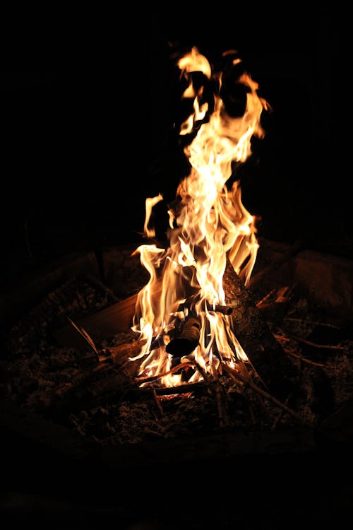 Close Up Shot of a Campfire