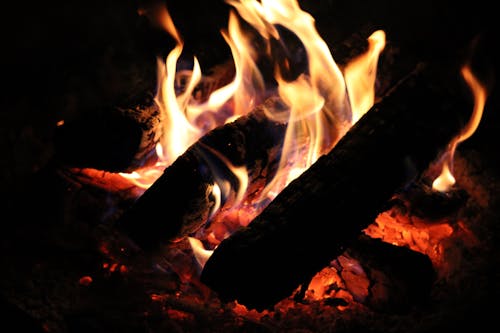 Close Up Shot of a Bonfire