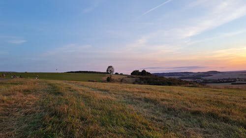 Imagine de stoc gratuită din câmp, cer albastru, fotografie cu natură