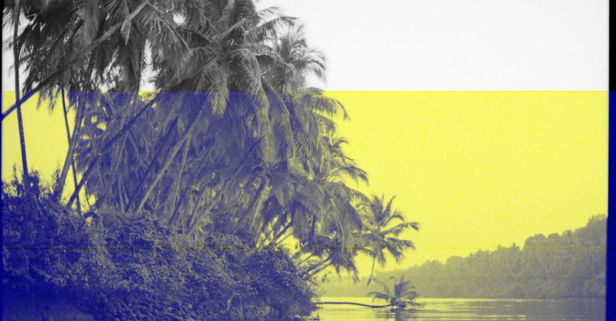 Photo by Alexey Demidov Artistic river scene with coconut trees, featuring a striking color overlay, creating a unique visual effect.