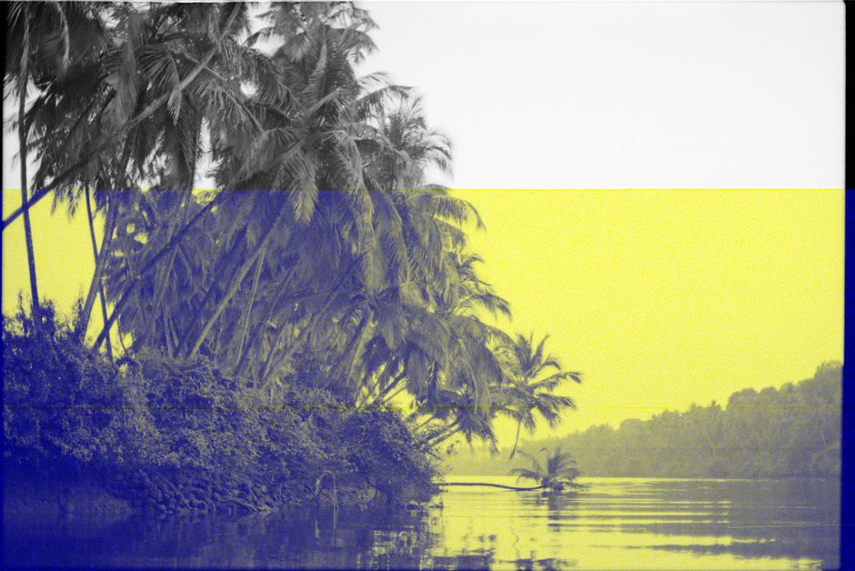 Photo by Alexey Demidov Artistic river scene with coconut trees, featuring a striking color overlay, creating a unique visual effect.