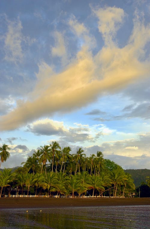 Free stock photo of costa rica, nuves, palmeras