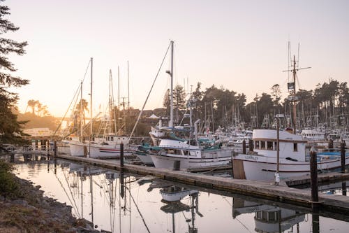 Boats Docked on the Harbor