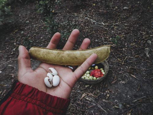 Free stock photo of ambient Stock Photo