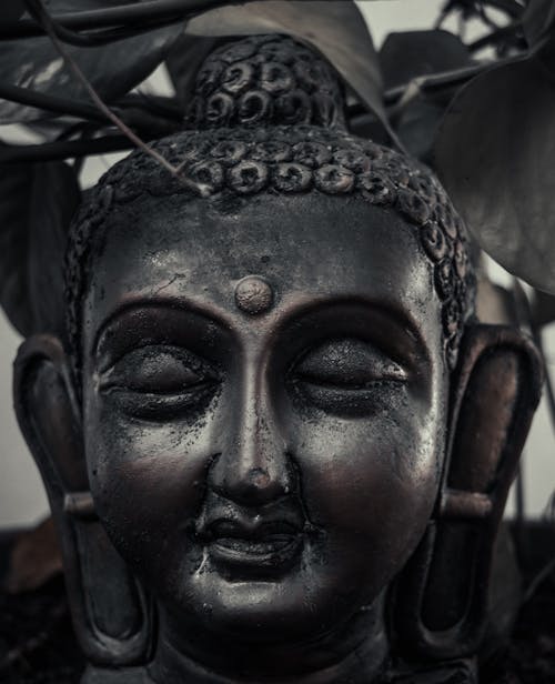 Free stock photo of art, black, buddha