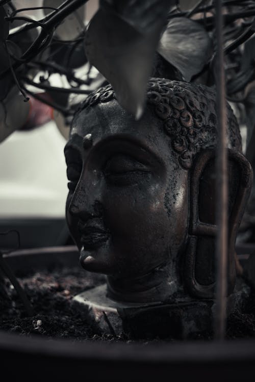 Free stock photo of art, black, buddha