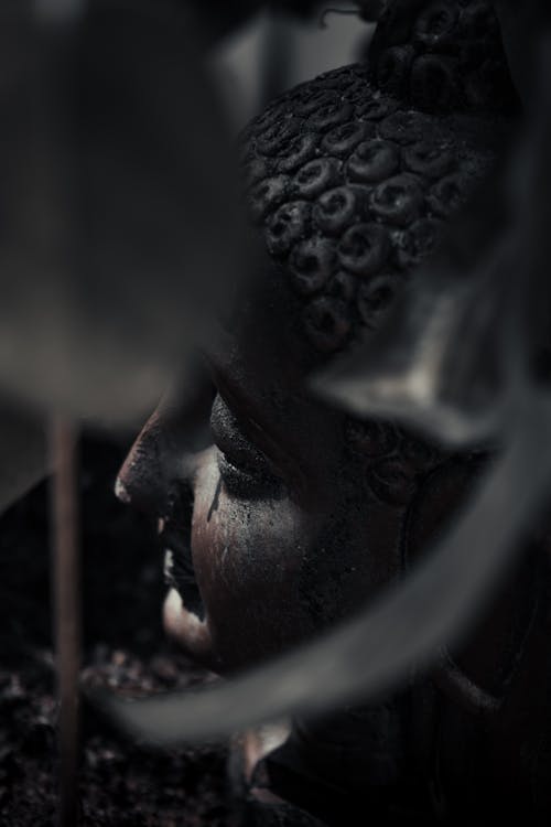 Free stock photo of art, black, buddha