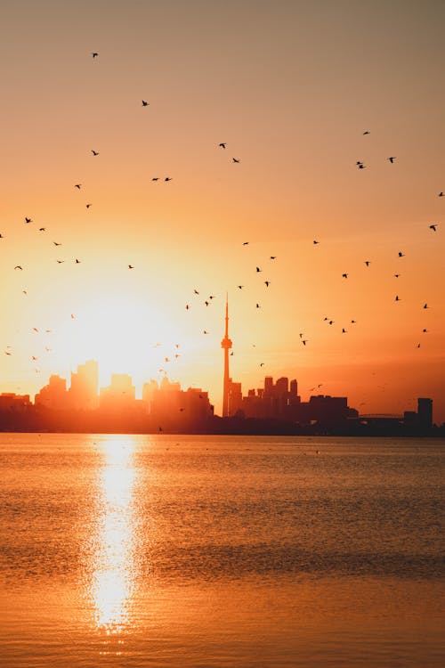 Immagine gratuita di canada, cn tower, drammatico