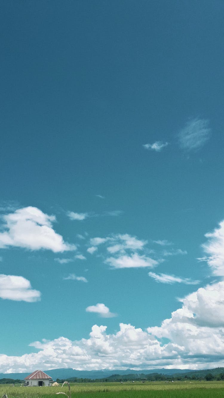 Small House Under The White Clouds And Blue Sky