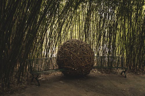 Gratis Fotos de stock gratuitas de al aire libre, bambú, bancos Foto de stock