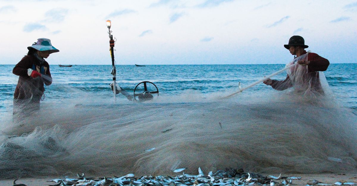 Photo of a Man and a Woman Removing Fish on a Net · Free Stock Photo