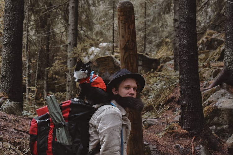 A Man Hiking A Mountain Forest With A Cat