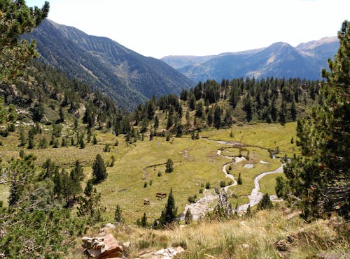 Small meadow in moutain valley
