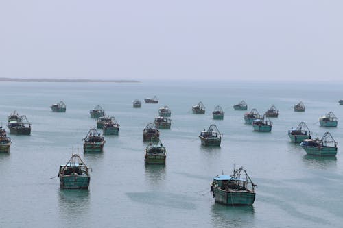 Blue and Brown Boats on Sea