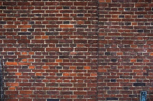 Free stock photo of backdrop, background, brick wall