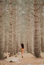 Woman running away in pine forest