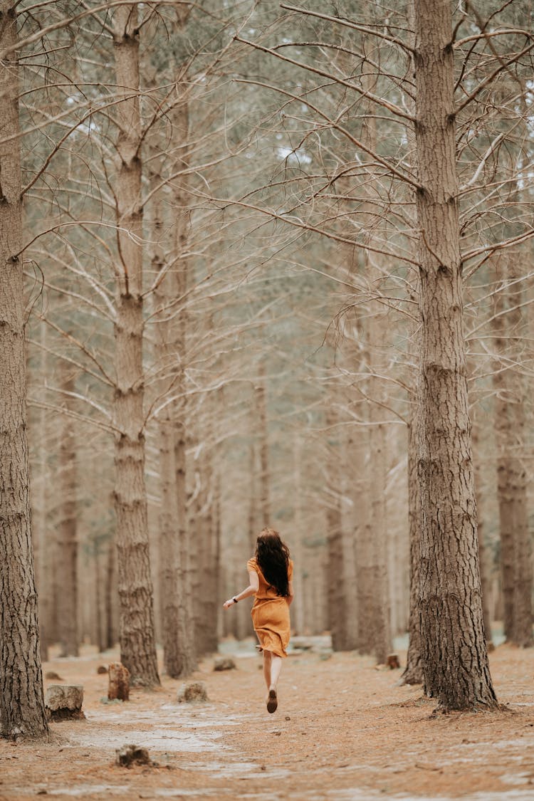 Woman Running Away In Pine Forest