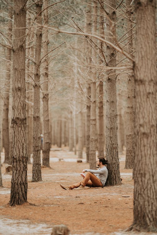 Adult man sitting by tree in forest