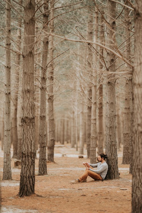 Adult man sitting in forest and reading