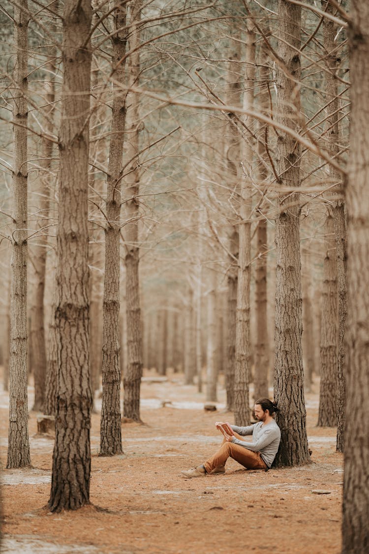 Adult Man Sitting In Forest And Reading